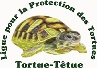 Ligue pour la Protection des Tortues (LPT)